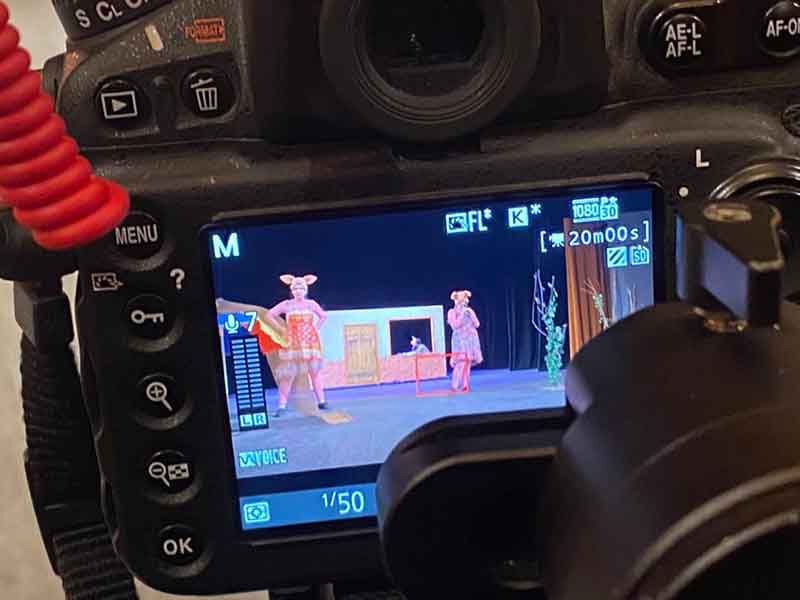 spectacole copii online teatru turda